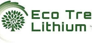 Eco Tree Lithium 12V 60AH  Battery