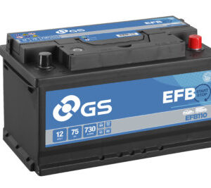 GS Yuasa EFB110 Battery