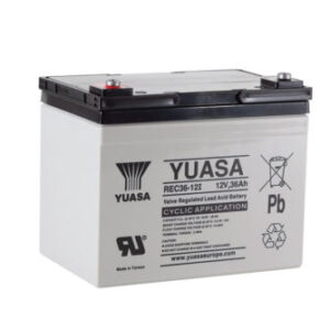 REC36-12I Yuasa VRLA Battery