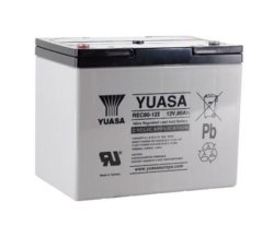 REC80-12 Yuasa VRLA Battery