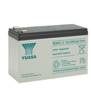 REW45-12 Yuasa Industrial VRLA Battery
