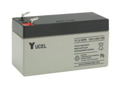 Y1.2-12Fr Yuasa AGM Battery