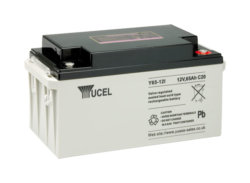Y65-12 Yuasa AGM Battery