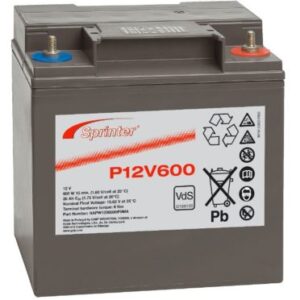 P12V600 EXIDE SPRINTER P HB AGM NAPW120600HP0MA Battery