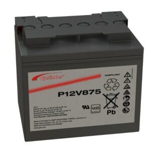 P12V875 EXIDE SPRINTER P HB AGM NAPW120875HP0MA Battery
